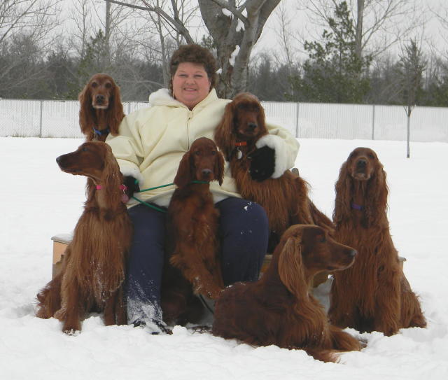 Windwood sales irish setters